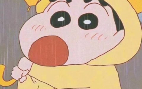 超可爱的蜡笔小新微信头像