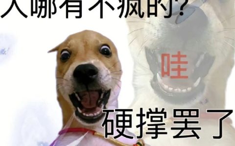 打工人专用的表情包，太逗了！