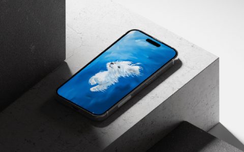 蓝色背景小狗壁纸