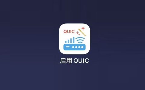 巨魔新工具：启用QUIC，一键提升iPhone网速